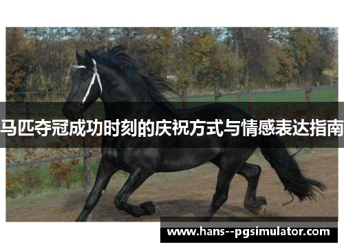 马匹夺冠成功时刻的庆祝方式与情感表达指南 马匹夺冠成功时刻的庆祝方式与情感表达指南