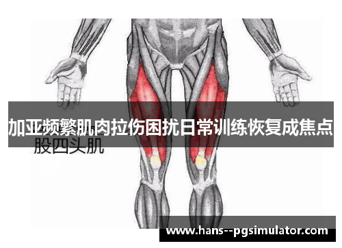 加亚频繁肌肉拉伤困扰日常训练恢复成焦点